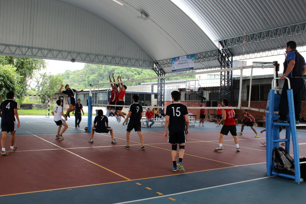 Voleibol