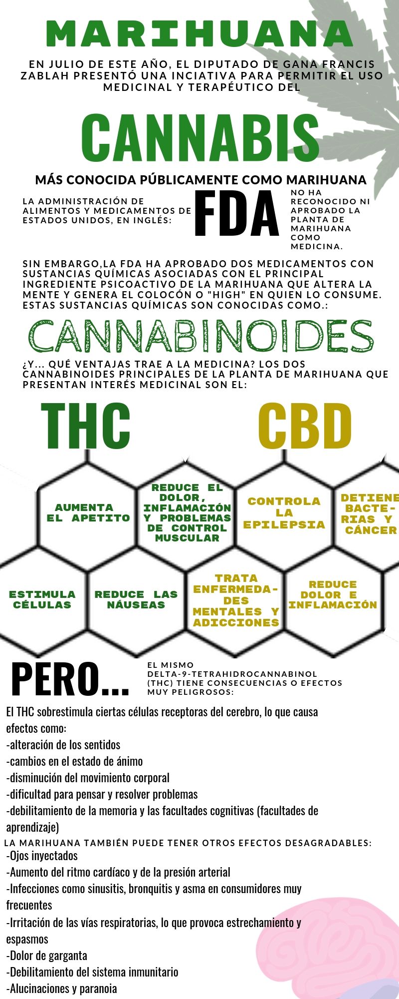 Comunica » Legalización Del Cannabis, Beneficios Y Consecuencias