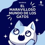 Sección XD: «El maravilloso mundo de los gatos»