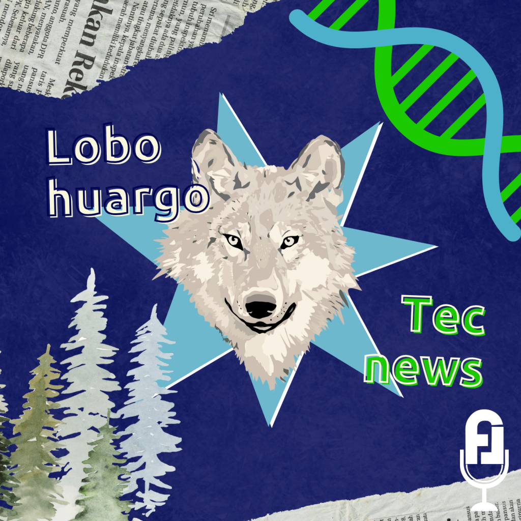 ¿Lobos del Pasado en el Presente? La Ciencia Está Jugando con la Extinción